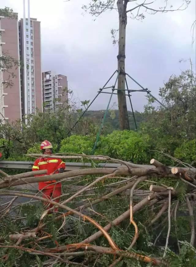 東莞臺風(fēng)最新消息與圖片報(bào)道