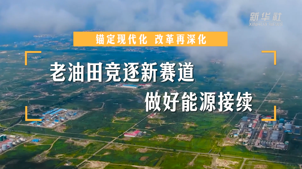 王思若凱 第12頁