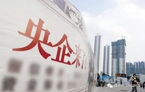 浙江鹽業(yè)改革最新消息，邁向高質(zhì)量發(fā)展的關(guān)鍵一步