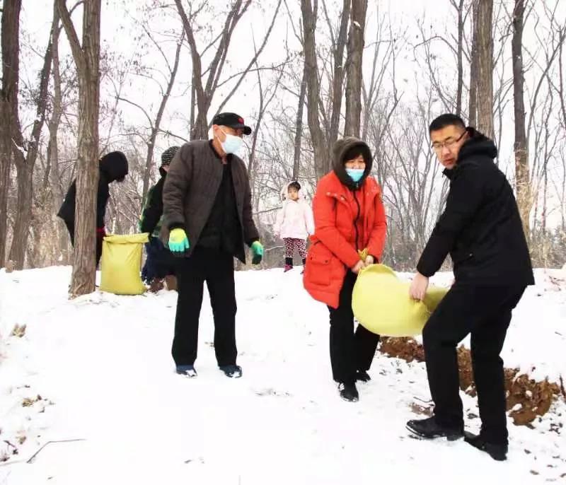 衡水環(huán)保新聞最新消息，邁向綠色生態(tài)之路