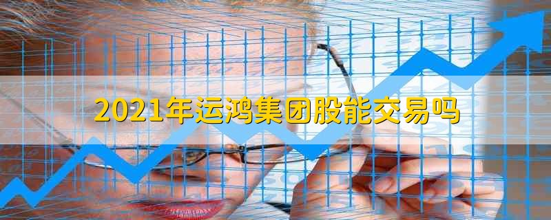 湖北運(yùn)鴻公司最新消息深度解析