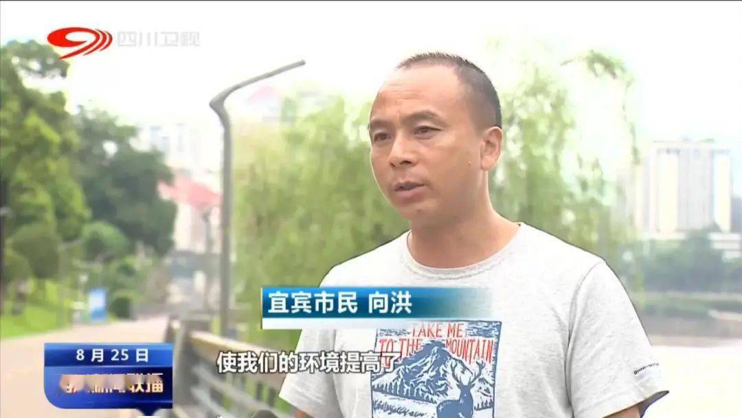 四川省環(huán)保督察最新動(dòng)態(tài)，推動(dòng)綠色發(fā)展的堅(jiān)定步伐