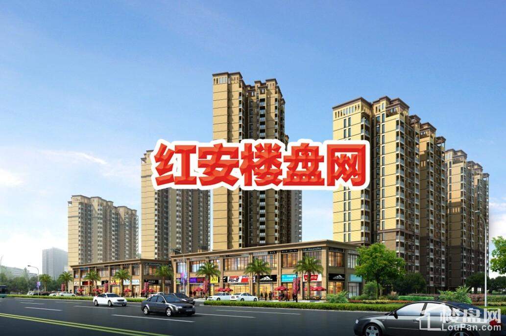 紅安國際華府最新消息全面解析