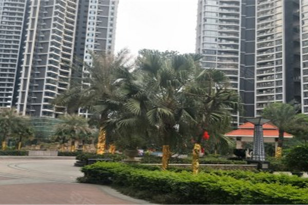 肇慶順寶天譽最新樓價，市場趨勢與購房指南