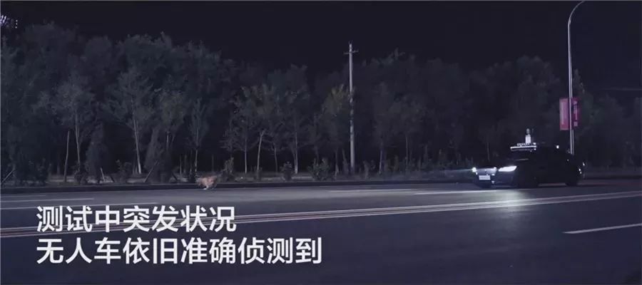 商臨程乙舒最新章節(jié)，錯(cuò)綜復(fù)雜的商業(yè)世界中的新篇章