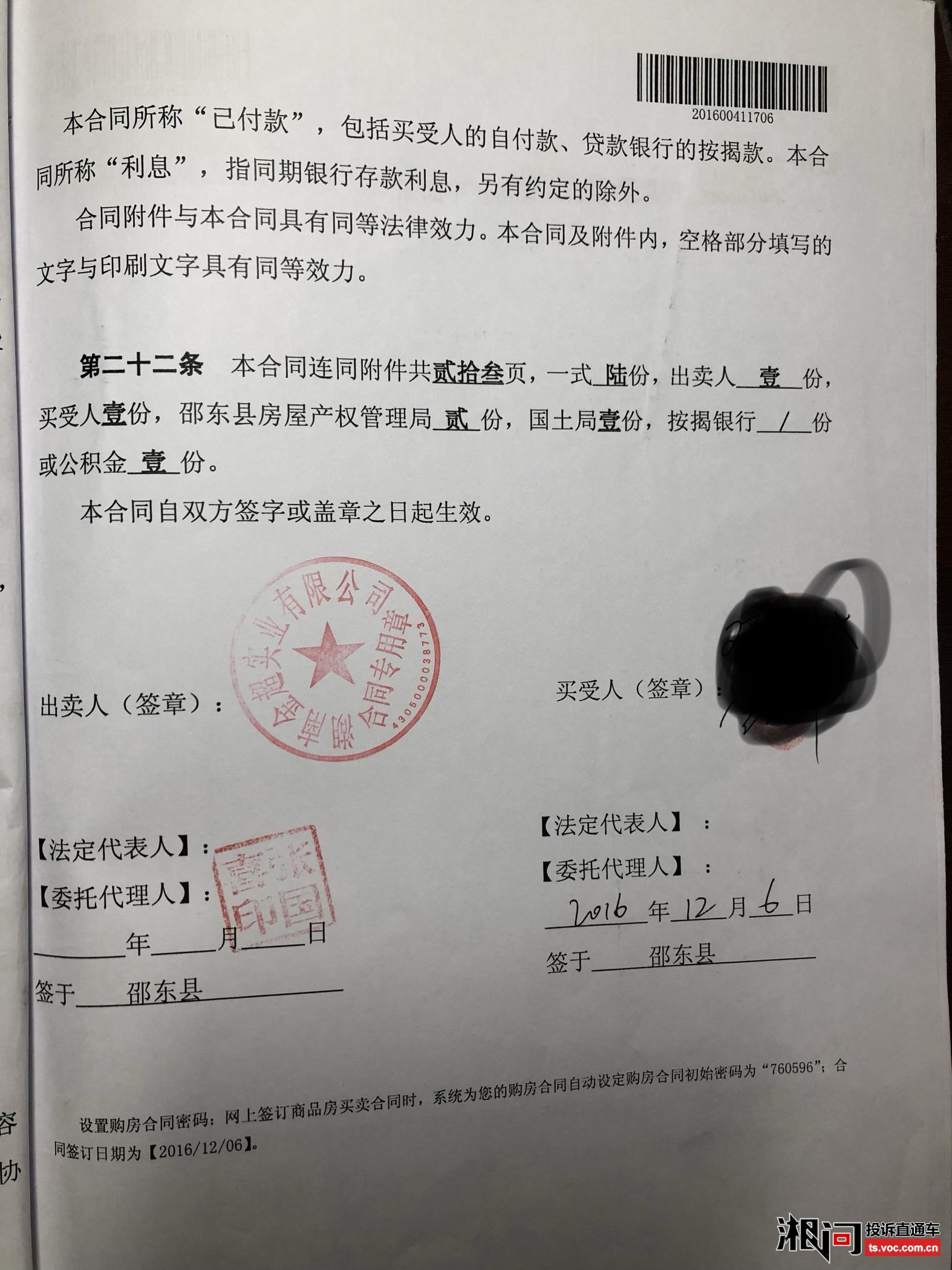 江南明珠邵東，最新發(fā)展動態(tài)與消息