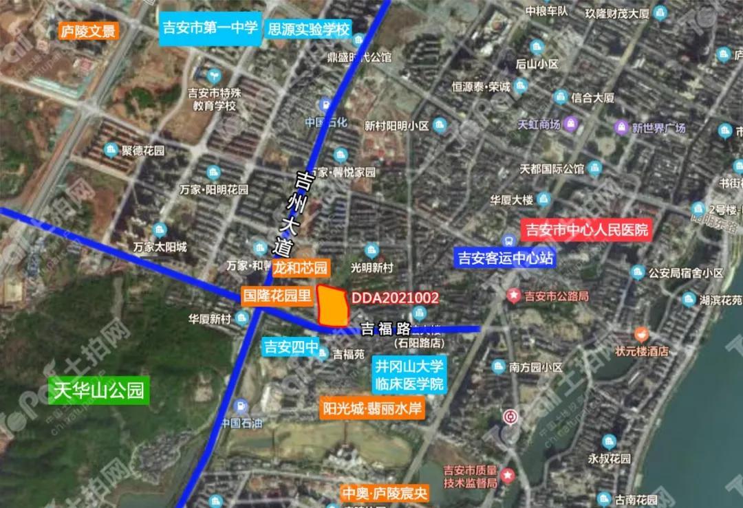 吳睿若翔 第15頁