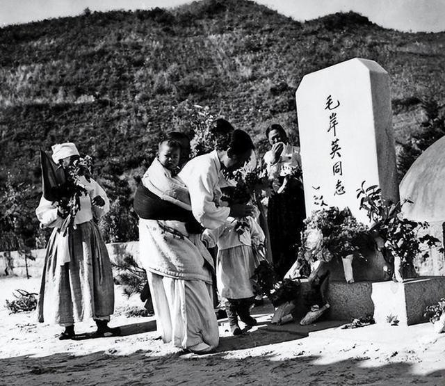 情遷搶包QQ最新版，功能與體驗(yàn)解析