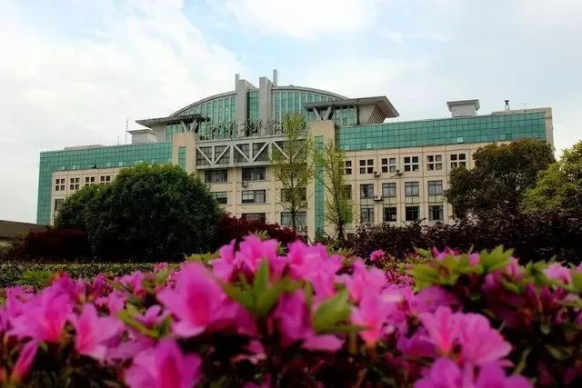 湘西職院毛國最新情況深度解析
