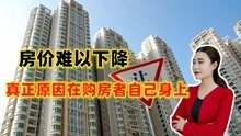 景業(yè)荔都最新消息全面解讀