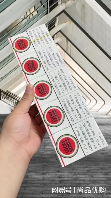 2024澳門天天開好彩大全回顧,特點解答解釋落實_解謎品76.173