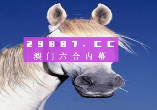 4949澳門免費精準大全,客觀評估解答解釋路徑_投入集36.538