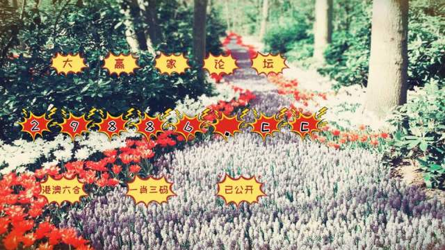 最準(zhǔn)一肖一碼一一中一特,動(dòng)態(tài)解釋詞匯_終結(jié)版64.701