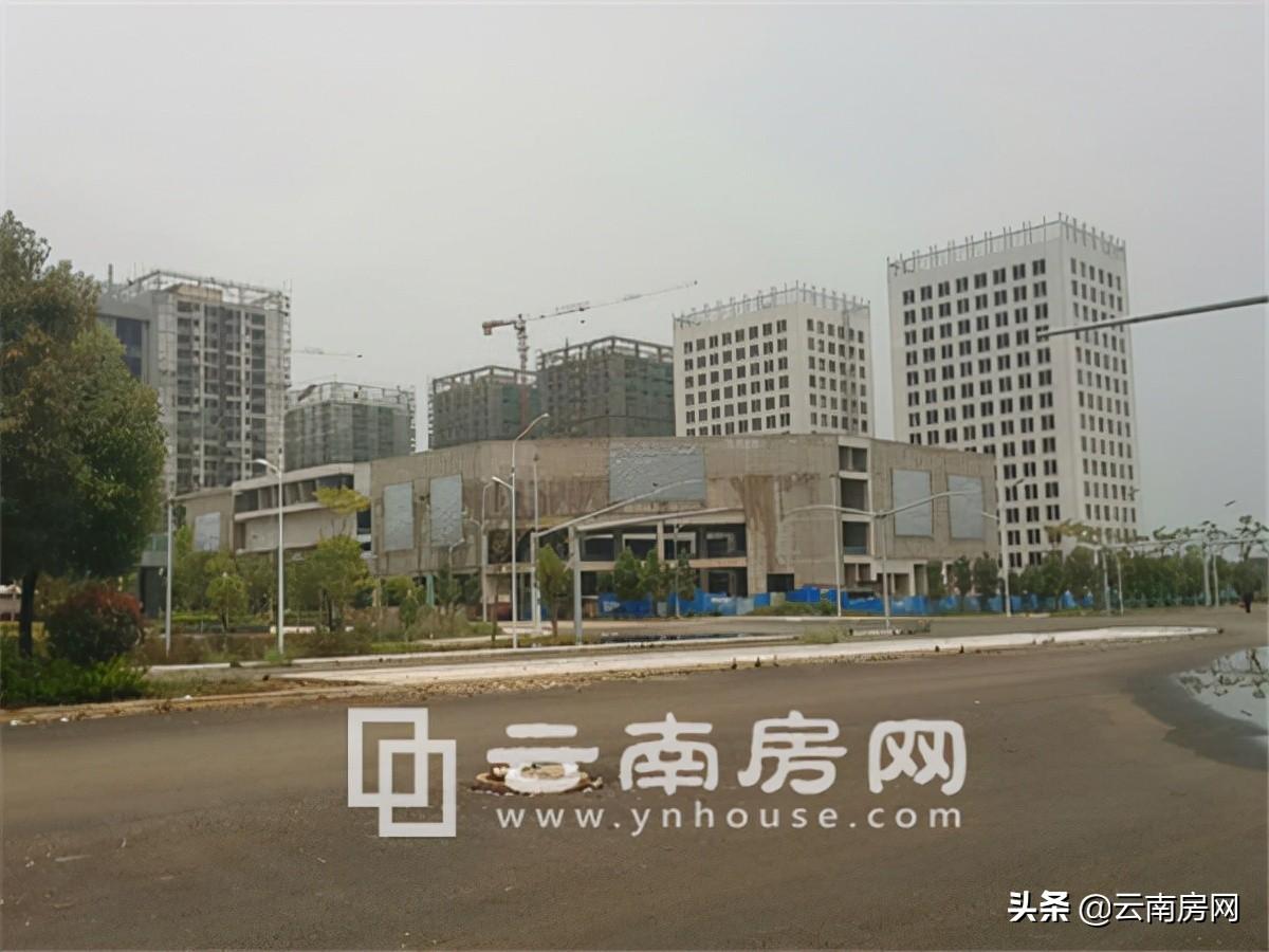 奧宸中央廣場最新消息，城市新中心的崛起