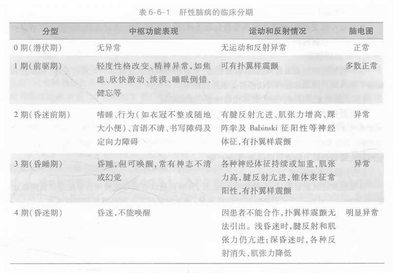 周熙若寧_1 第12頁