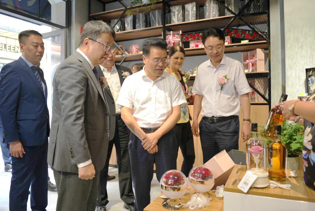 杭州灣綠地最新消息，生態(tài)建設(shè)的蓬勃發(fā)展