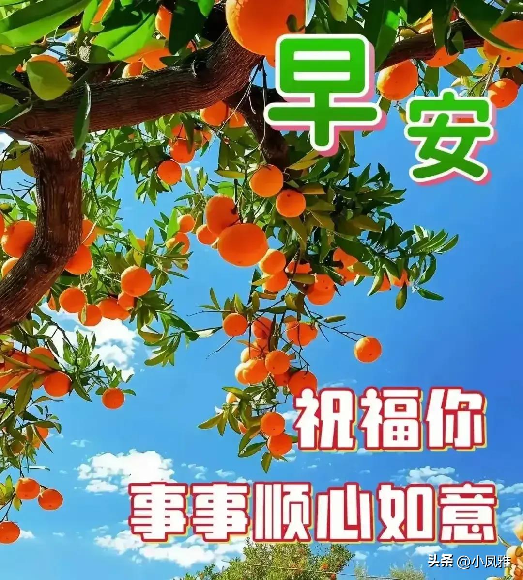 2024年天天彩資料免費大全,方案探討解答解釋現(xiàn)象_4K型28.101