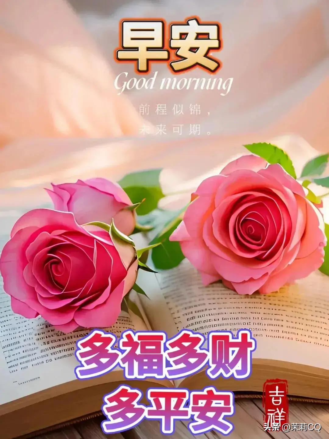 2024年天天彩資料免費大全,科學(xué)研究解釋定義_演示款20.281