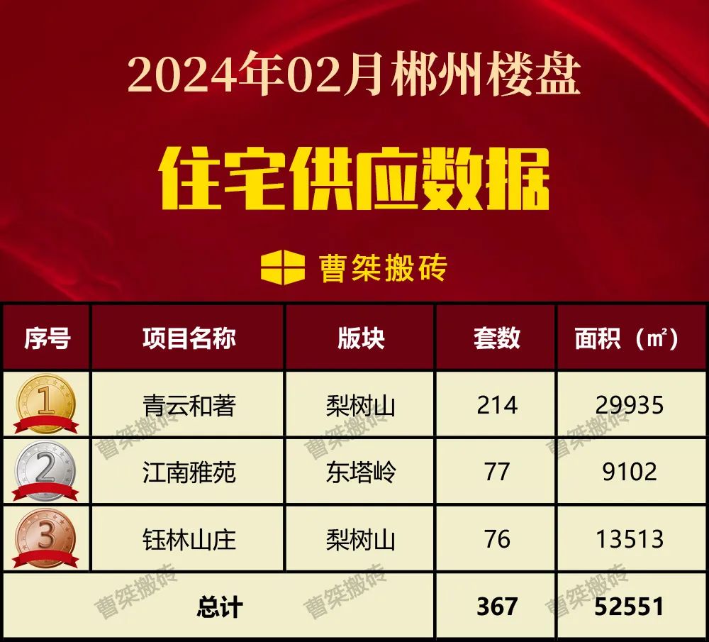 管家婆2024正版資料大全,實踐策略實施解析_珍藏款96.421
