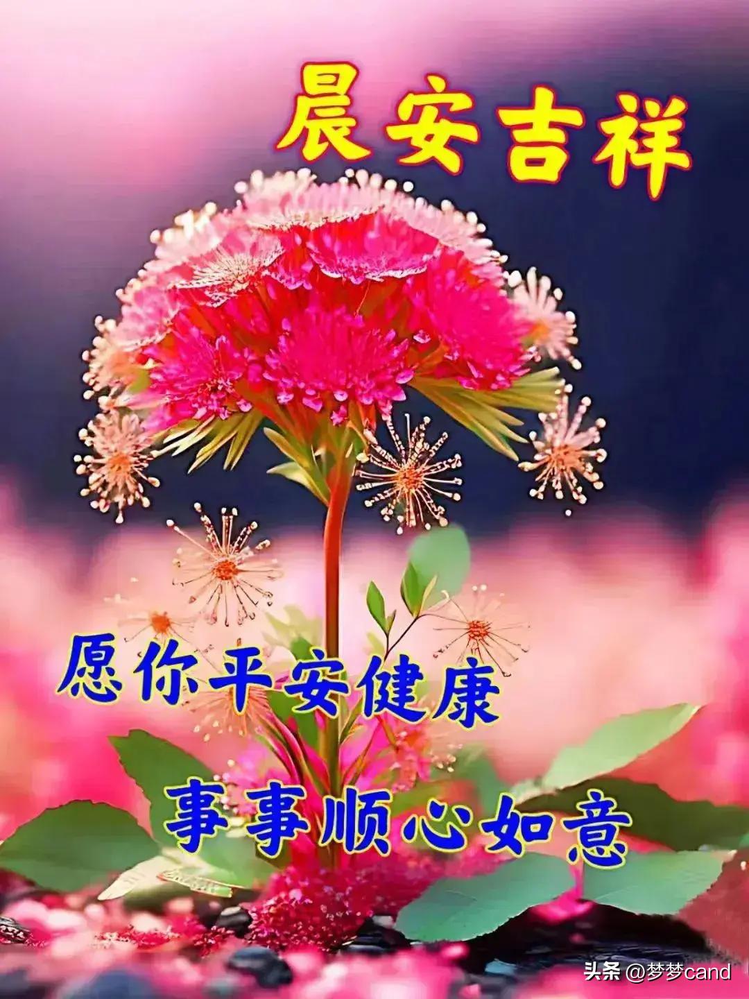 2024年天天彩免費資料,知識共享系統(tǒng)_旗艦款15.174