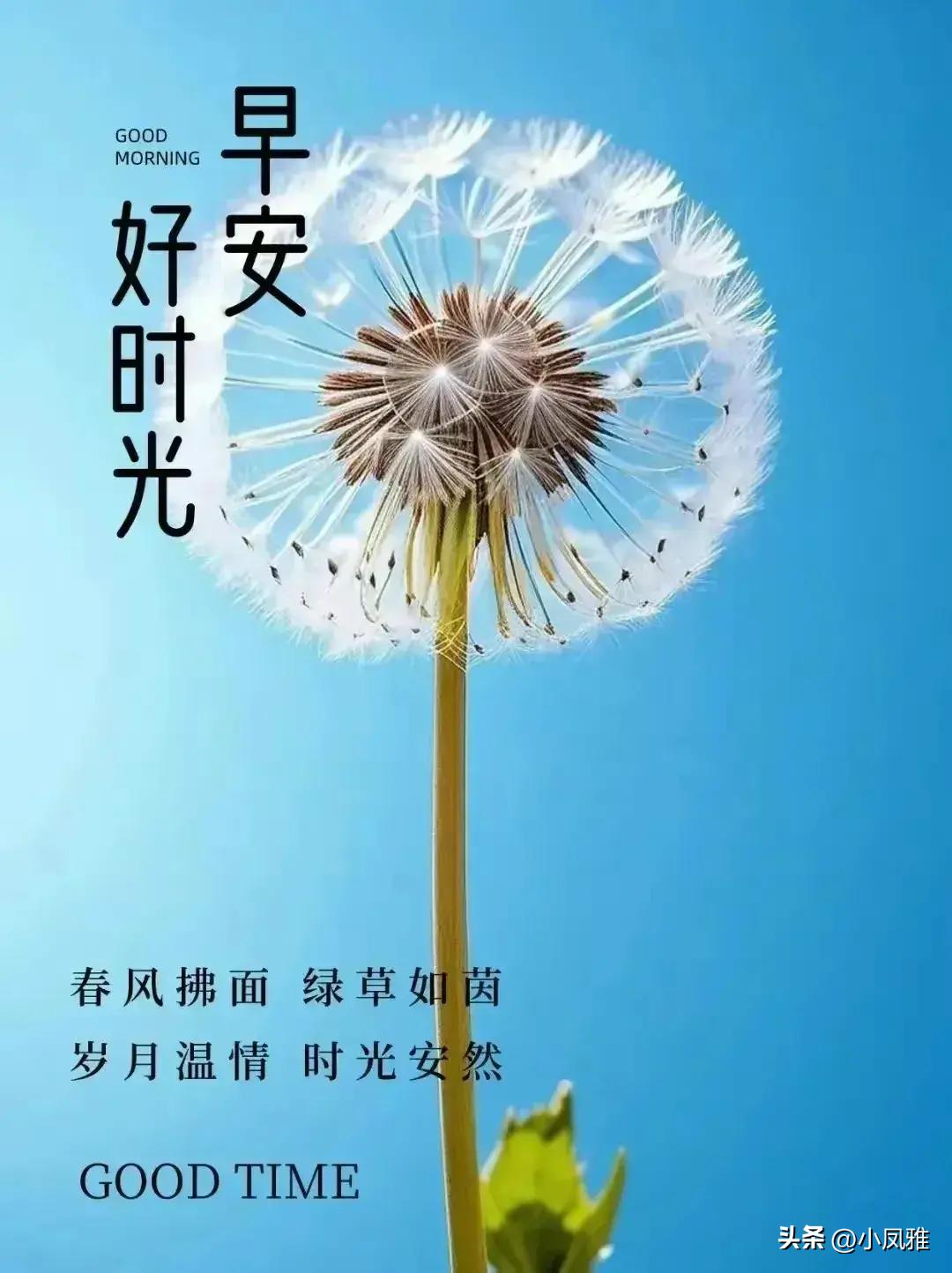 2024天天彩正版資料大全,深度數(shù)據(jù)應(yīng)用實(shí)施_蘋(píng)果55.156
