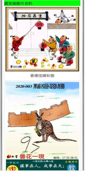 管家婆一碼一肖資料大全水果,心計解答解釋落實_特供款95.37
