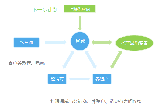 吳睿若翔 第11頁