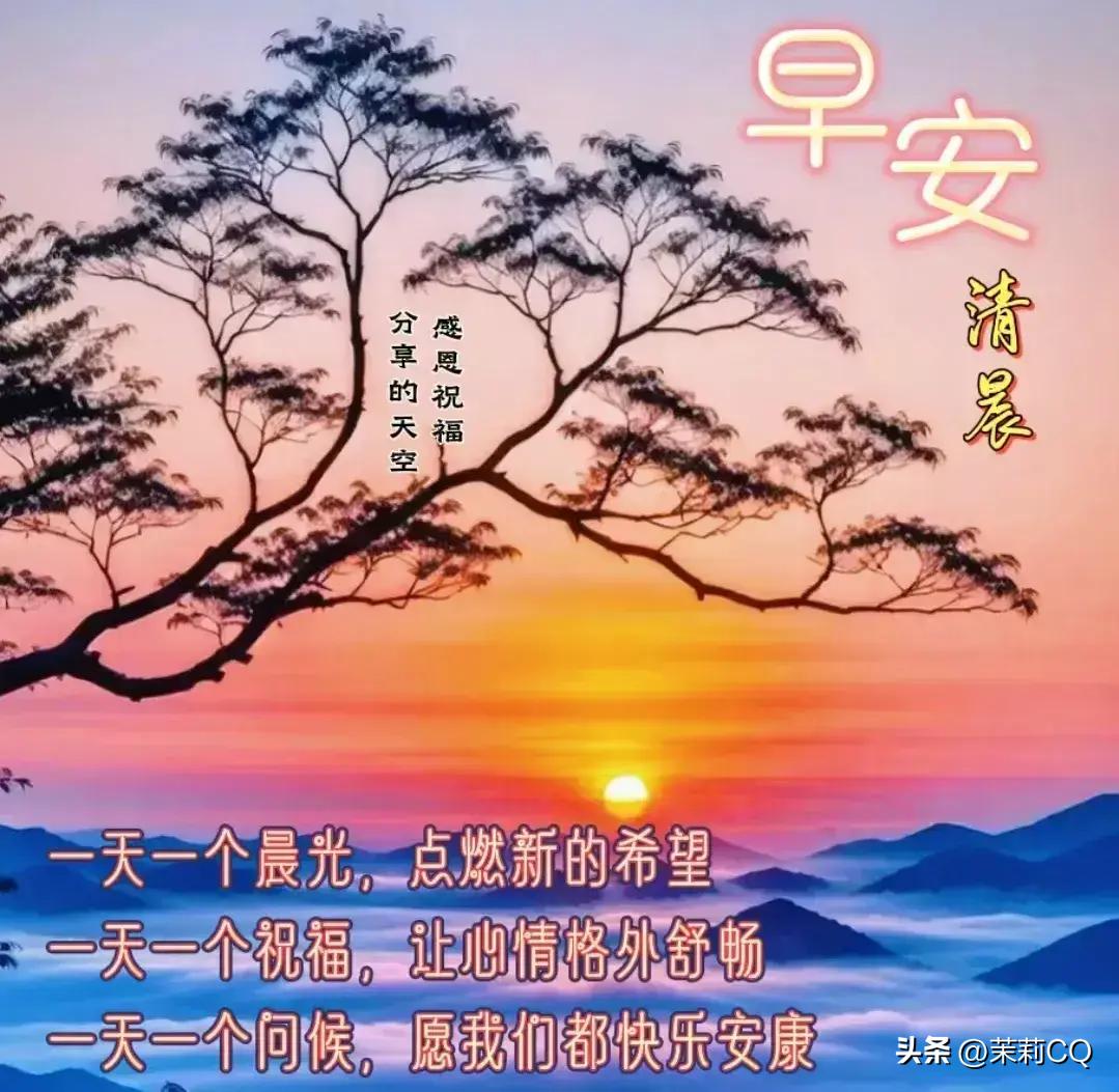 2024天天彩正版資料大全,行業(yè)趨勢解答落實_儲蓄集0.284