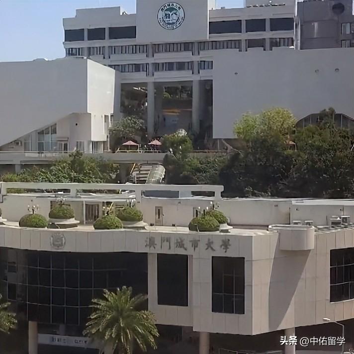 2024澳門今天晚上開什么生肖啊,產(chǎn)能設(shè)計與調(diào)控_休閑版71.779