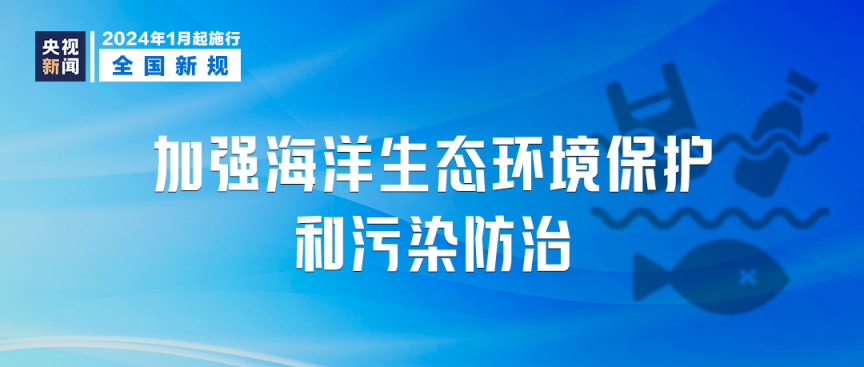 2024新澳資料大全免費,信用管理解析落實_實況款41.233