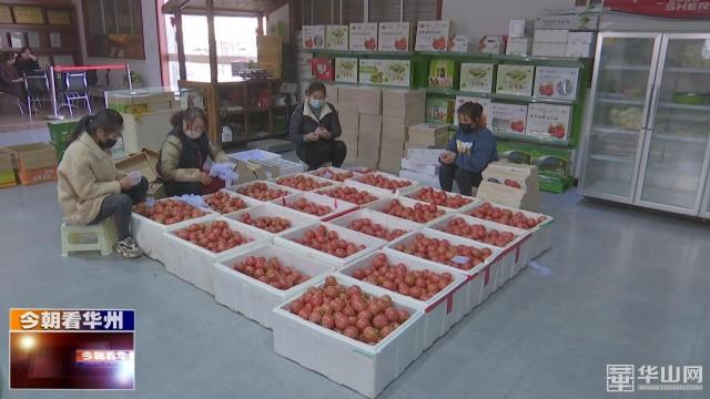王珂若塵 第13頁