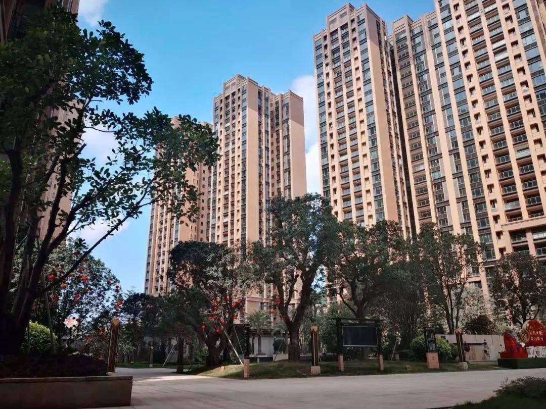 2024新奧資料免費(fèi)精準(zhǔn)109,實(shí)際解答解釋落實(shí)_探索款,創(chuàng)新策略執(zhí)行落實(shí)_TP26.375