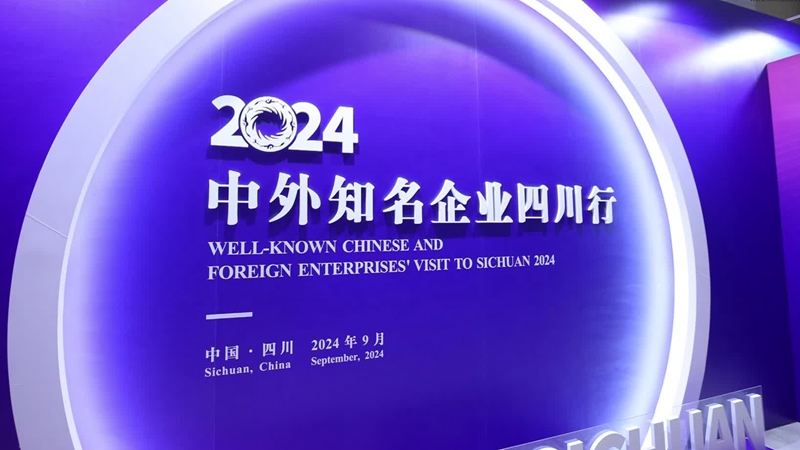 2024香港正版資料大全視頻,經(jīng)濟(jì)方案解析_紀(jì)念集72.542