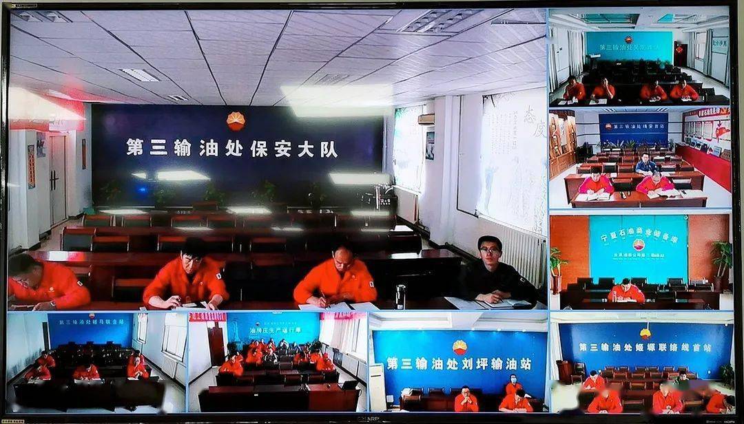 最新養(yǎng)魚法，提升養(yǎng)魚效率與生態(tài)平衡的新策略