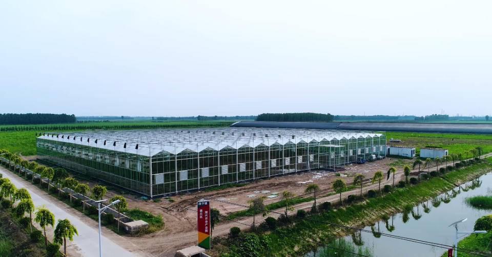 博興最新天空下的新篇章