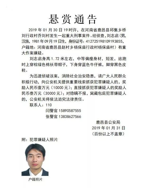 最新夏邑案深度解析