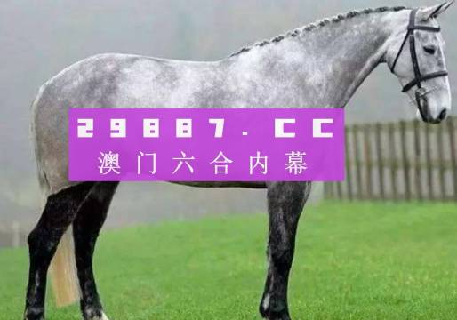 2023年澳門特馬今晚開碼,高效設(shè)計(jì)計(jì)劃_管理版94.564