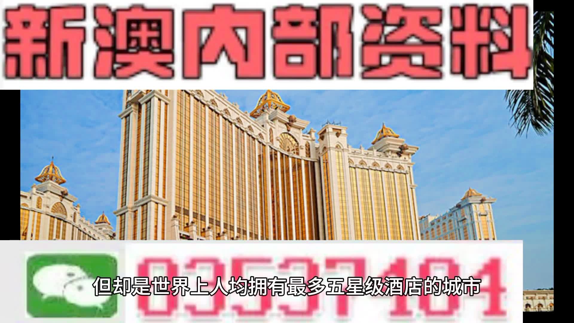 關于新澳門資料免費長期公開與未來的探討