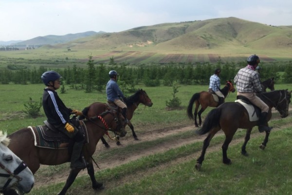 關(guān)于澳門特馬今晚開獎圖紙的文章