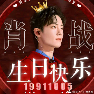 一肖一碼一一肖一子，探尋背后的神秘與魅力