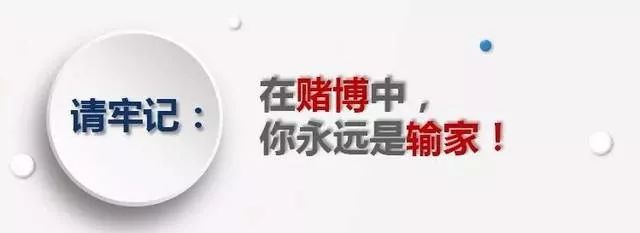 揭秘最準一肖一碼一一子中特7955背后的真相與警示，遠離犯罪，珍愛人生
