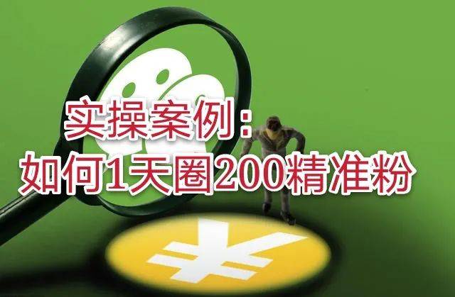 澳門(mén)天天免費(fèi)精準(zhǔn)大全——揭示背后的違法犯罪問(wèn)題