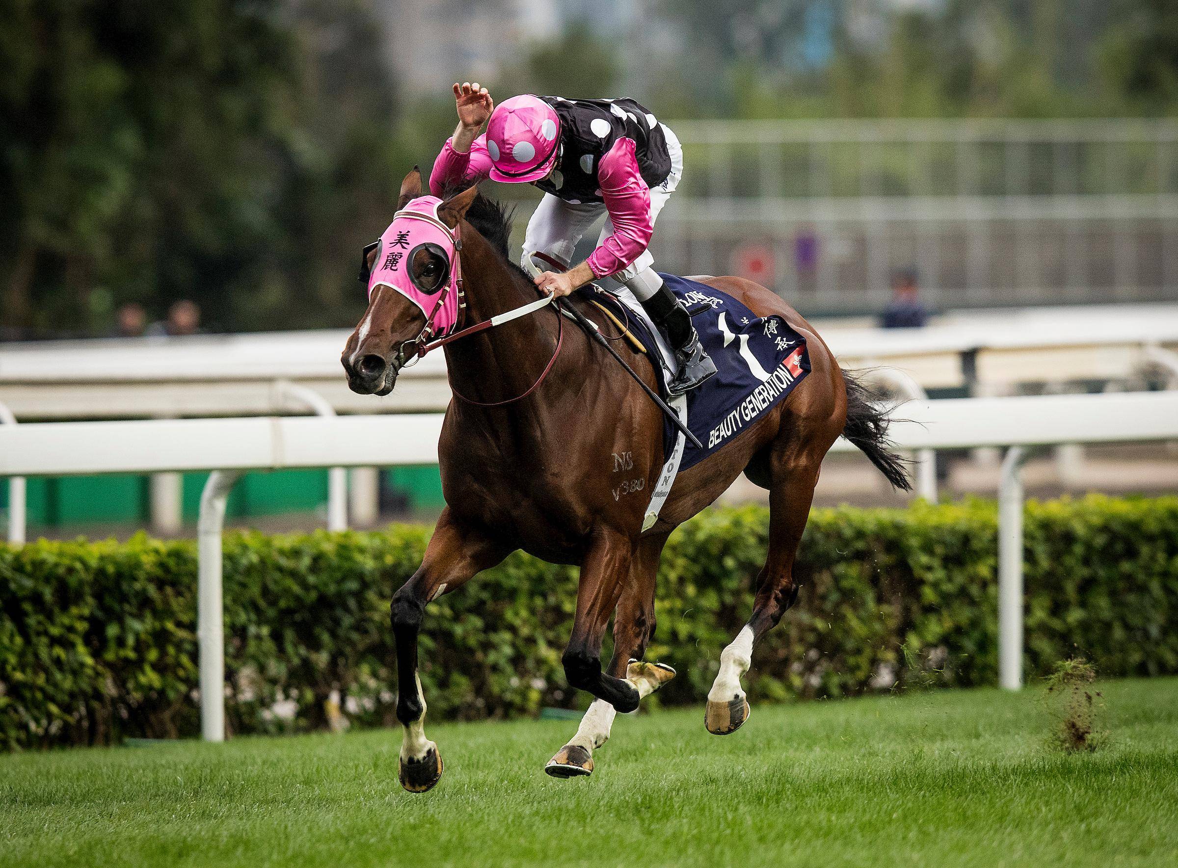 香港特馬資料王中王——揭秘香港賽馬文化的獨特魅力