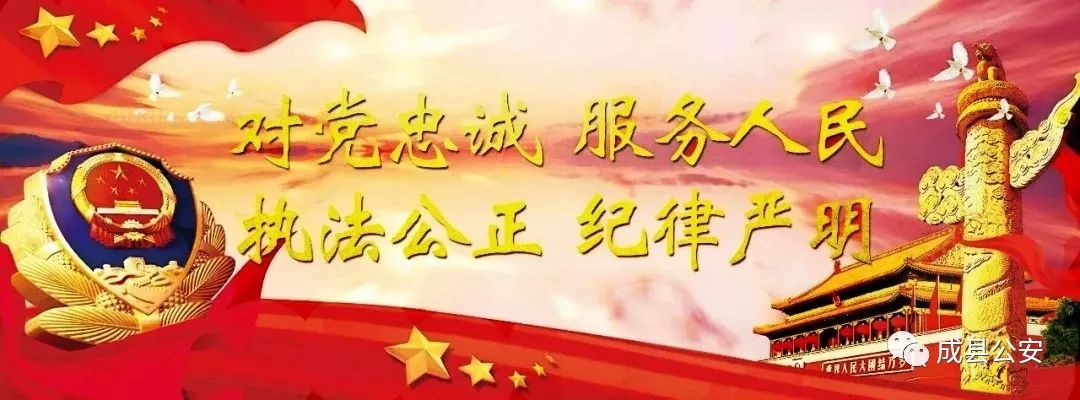 澳門一肖一碼一必中一肖與雷鋒，違法犯罪問題的探討