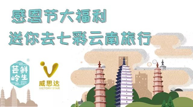 探索正版免費(fèi)資料，2024天天彩的魅力與價(jià)值