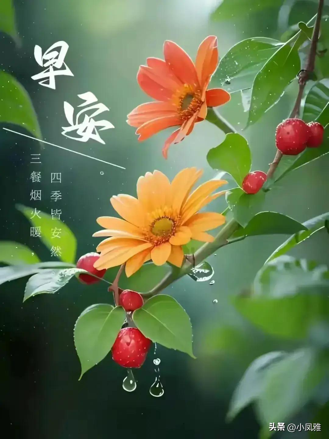 李希若恒 第10頁(yè)