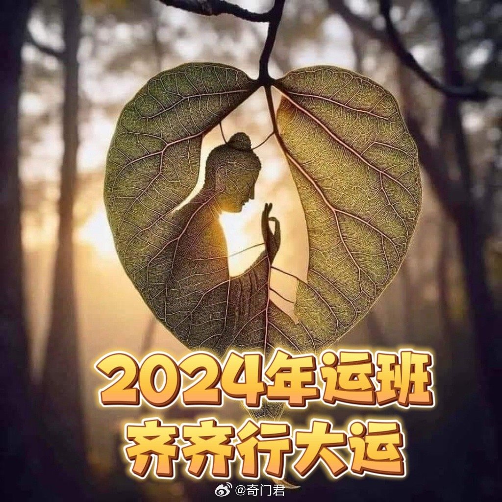 探索未來(lái)幸運(yùn)之門(mén)，2024年一肖一碼一中一特的神秘面紗