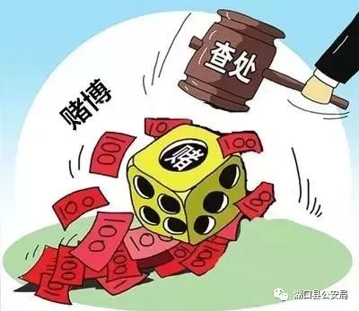 澳門(mén)一肖一碼背后的犯罪問(wèn)題，揭示真相與警示公眾