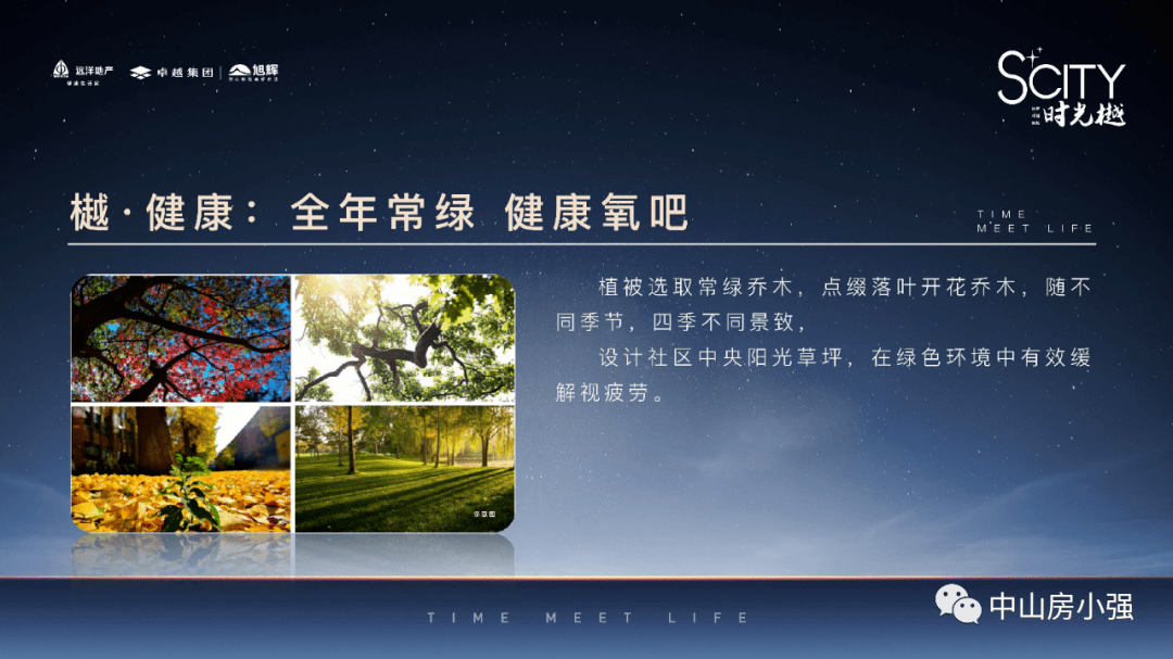 管家婆必出一中一特，深度解析與探索