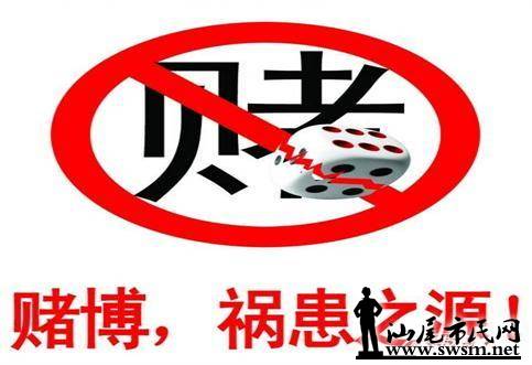 澳門王中王100%的資料——警惕犯罪風(fēng)險，遠(yuǎn)離非法賭博（標(biāo)題）